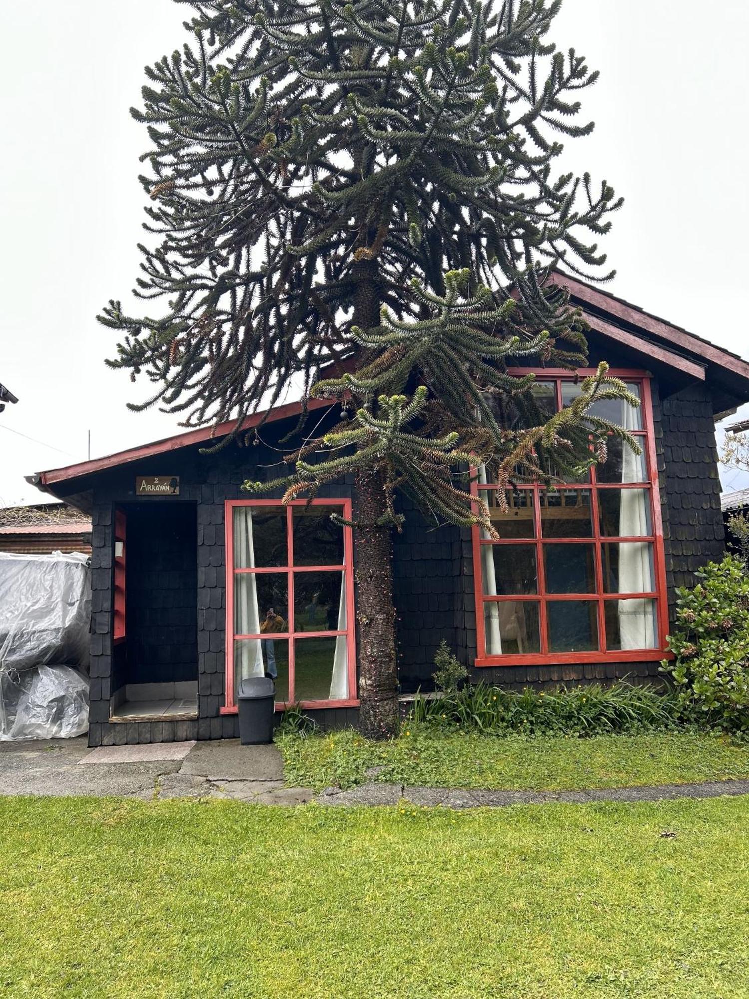 Quelen Austral Daire Hornopiren Dış mekan fotoğraf